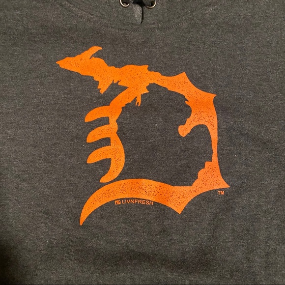 Detroit Michigan hoodie - Picture 2 of 3